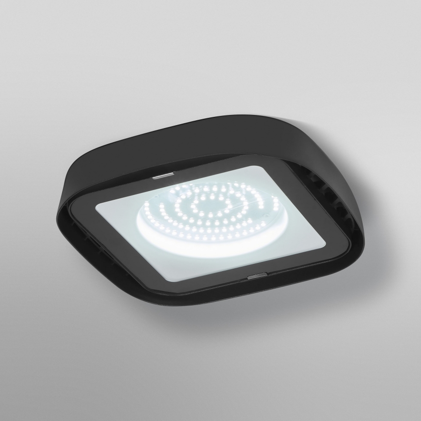 Ledvance - LED Industrijska stropna svjetiljka HIGHBAY LED/80W/230V IP65 6500K
