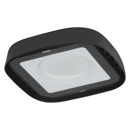 Ledvance - LED Industrijska stropna svjetiljka HIGHBAY LED/80W/230V IP65 6500K