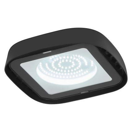 Ledvance - LED Industrijska stropna svjetiljka HIGHBAY LED/80W/230V IP65 6500K