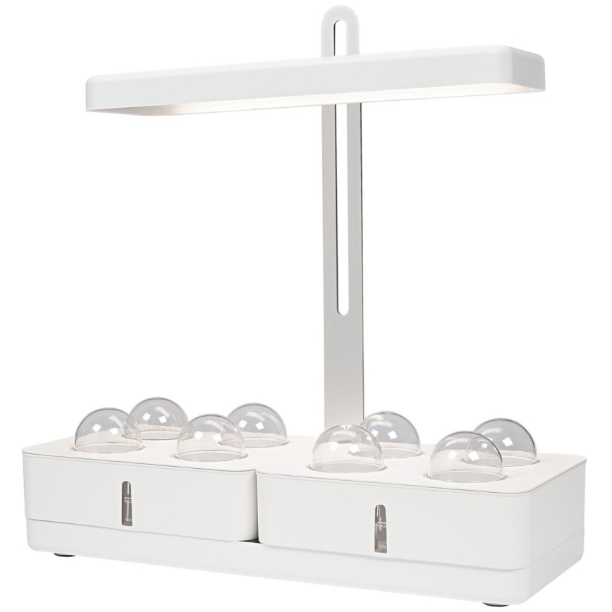 Ledvance - LED Lampa za interijer GARDEN KIT LED/24W/230V