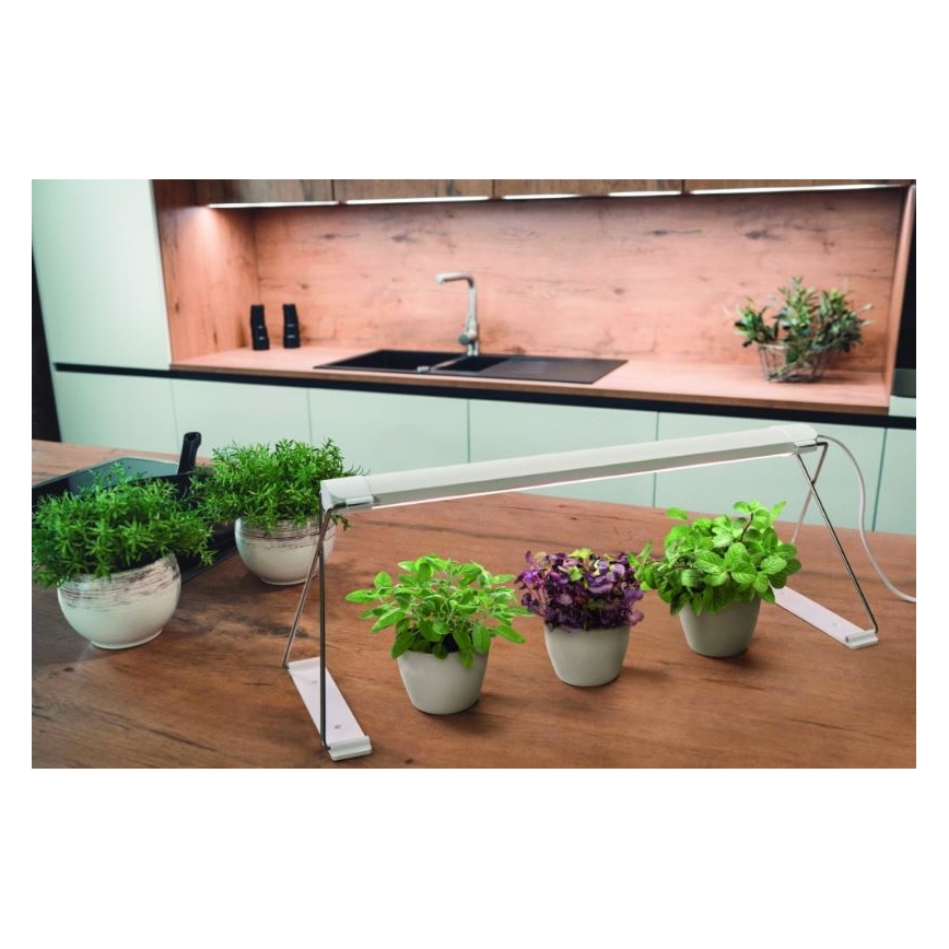 Ledvance - LED Lampa za interijer GARDEN LIGHT LED/14W/230V