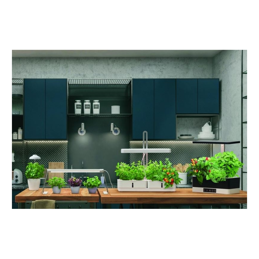 Ledvance - LED Lampa za interijer GARDEN LIGHT LED/14W/230V