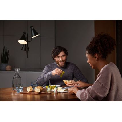 Ledvance - LED Luster na sajli DECOR TOKIO 3xLED/4,6W/230V