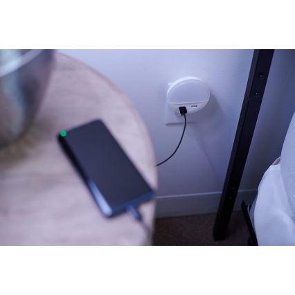 Ledvance - LED noćno svjetlo za utičnicu s senzorom LUNETTA 2xUSB LED/13W/230V