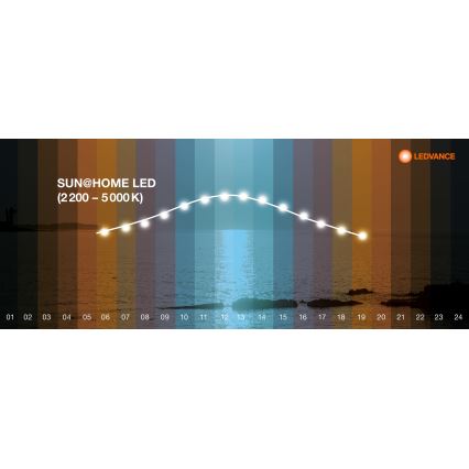 Ledvance - LED panel za prigušivanje SUN@HOME LED/35W/230V 2200-5000K CRI 95 Wi-Fi