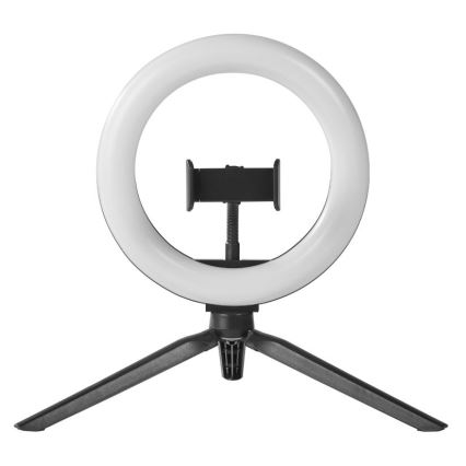 Ledvance - LED Prigušiva stolna lampa sa stalkom i držačem za vloganje LED/5,5W/USB 3000/4000/6500K