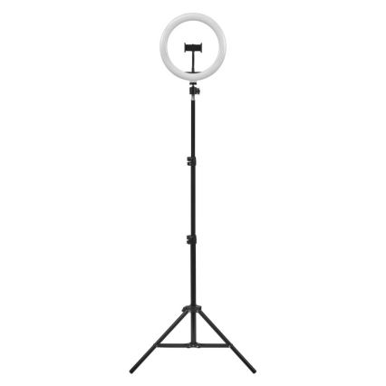 Ledvance - LED Prigušiva samostojeća lampa sa stalkom i držačem za vloganje LED/6W/USB 3000/4000/6500K