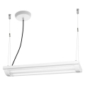 Ledvance - LED Prigušiva viseća svjetiljka OFFICE LINE 2xLED/12,5W/230V