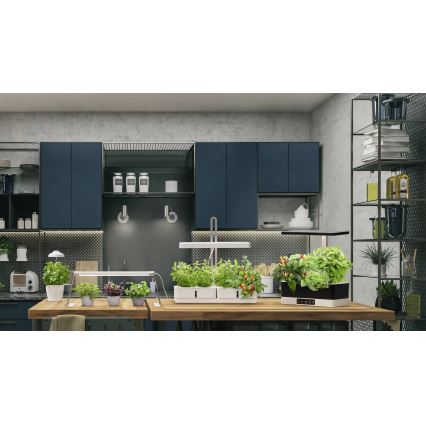 Ledvance - LED prigušivačka unutarnja lampa za biljke GARDEN KIT LED/24W/230V