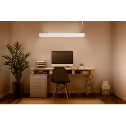 Ledvance - LED Prigušivi luster na sajli SUN@HOME LED/50W/230V 2200-5000K CRI 95 Wi-Fi