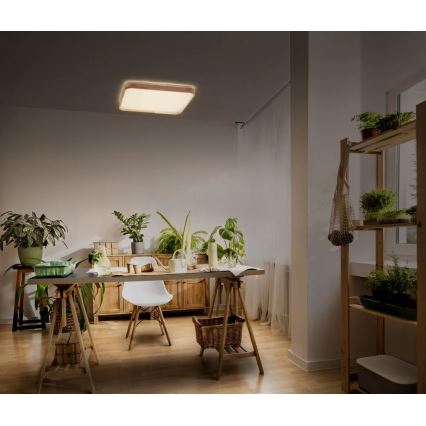 Ledvance - LED prigušivo stropno svjetlo ORBIS LED/16W/230V 3000K 29x29 cm