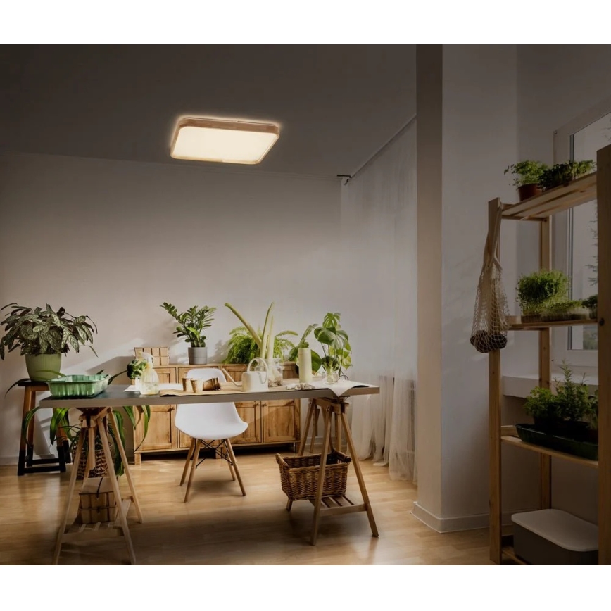 Ledvance - LED prigušivo stropno svjetlo ORBIS LED/16W/230V 3000K 29x29 cm