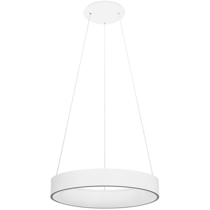 Ledvance - LED prigušivački luster na užetu SUN@HOME CIRCULAR LED/18,5W/230V Wi-Fi