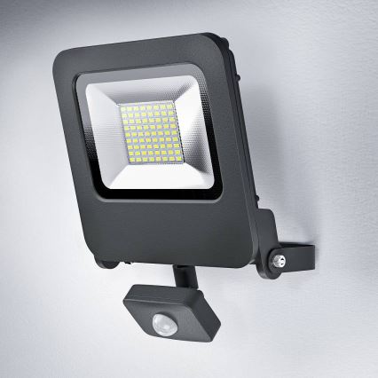 Ledvance - LED Reflektor sa senzorom ENDURA LED/50W/230V IP44