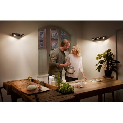 Ledvance - LED Reflektorska svjetiljka DECOR PLUTO 2xLED/4,8W/230V