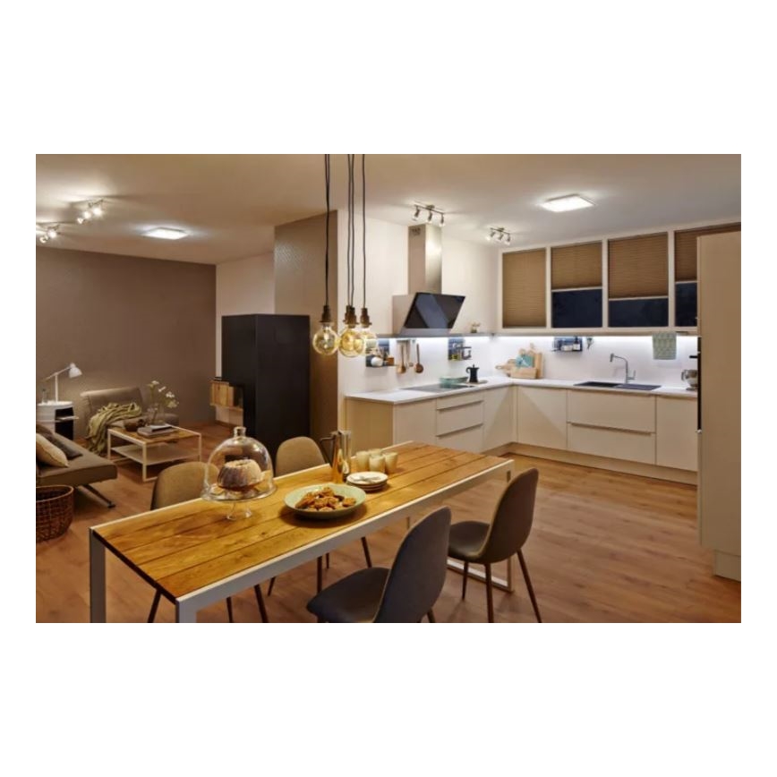 Ledvance - LED Stropna svjetiljka LUNIVE LED/24W/230V