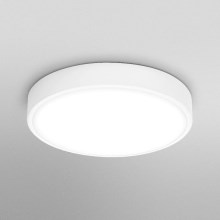 Ledvance - LED Stropna svjetiljka ORBIS SLIM LED/20W/230V bijela