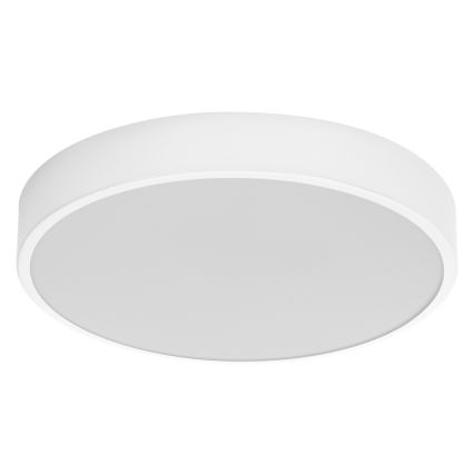 Ledvance - LED Stropna svjetiljka ORBIS SLIM LED/20W/230V bijela