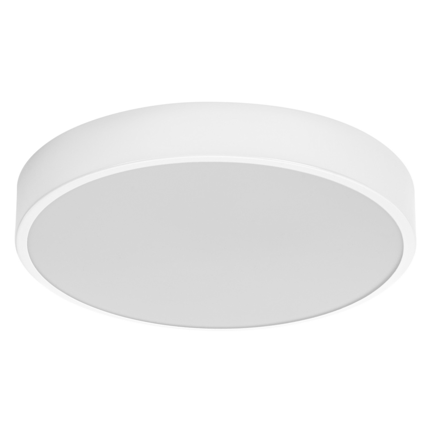 Ledvance - LED Stropna svjetiljka ORBIS SLIM LED/20W/230V bijela