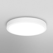 Ledvance - LED Stropna svjetiljka ORBIS SLIM LED/36W/230V bijela
