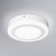 Ledvance - LED Stropna svjetiljka ROUND LED/15W/230V pr. 20 cm