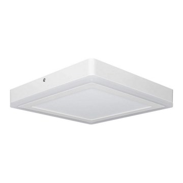 Ledvance - LED Stropna svjetiljka SQUARE LED/18W/230V