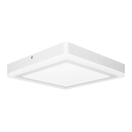 Ledvance - LED Stropna svjetiljka SQUARE LED/18W/230V