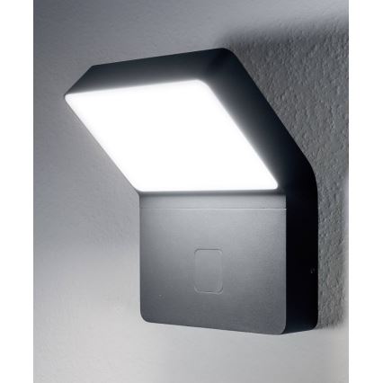 Ledvance - LED Vanjska svjetiljka sa senzorom ENDURA LED/12W/230V IP44