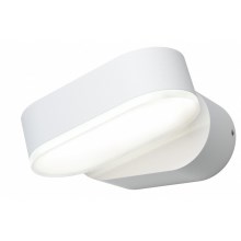 Ledvance - LED Vanjska zidna svjetiljka ENDURA LED/8W/230V IP44