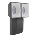 Ledvance - LED Vanjska zidna svjetiljka sa senzorom SPOT 2xLED/8W/230V IP55