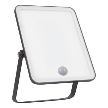 Ledvance - LED vanjski zidni reflektor s senzorom pokreta i sumraka FLOODLIGHT LED/30W/230V IP65