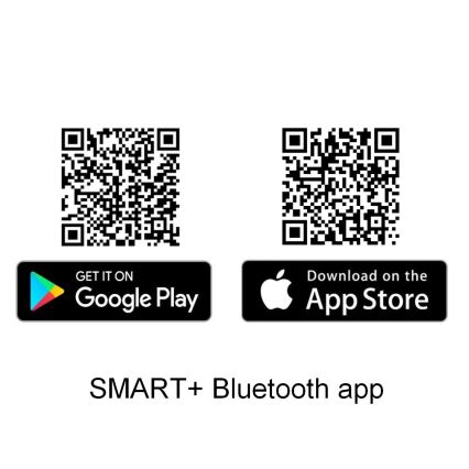 Ledvance - Pametni zvučnik Google Nest Mini + LED traka 1,8m SMART+ LED/10W/230V