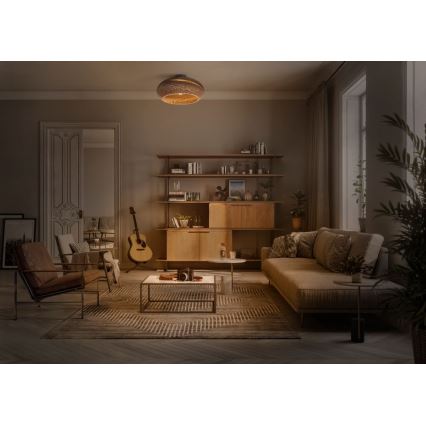 Ledvance - Stropna svjetiljka DECOR CARDBOARD 1xE27/15W/230V pr. 40 cm