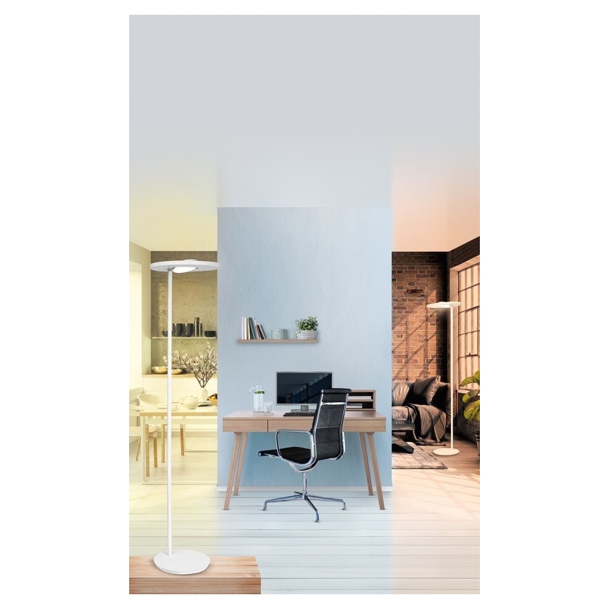 Ledvance - LED Dimmabilna podna lampa SUN@HOME LED/36W/230V 2200-5000K CRI 95 Wi-Fi