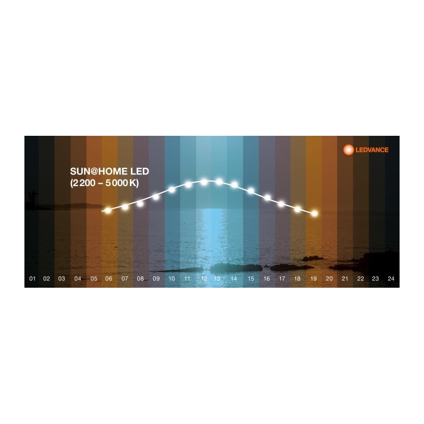 Ledvance - LED Dimmabilna podna lampa SUN@HOME LED/36W/230V 2200-5000K CRI 95 Wi-Fi