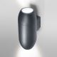 Ledvance - Vanjska zidna svjetiljka CANNON 2xGU10/35W/230V IP44