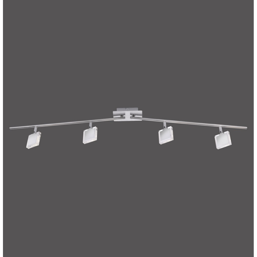 Leuchten Direkt 11084-55 - LED Reflektorska svjetiljka TONY 4xLED/4W/230V