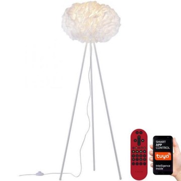 Leuchten Direkt 11212-16 - LED RGBW podesiva podna lampa NAOMI LED/10W/230V 2700-5000K Wi-Fi TUYA + daljinski upravljač