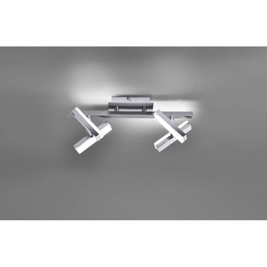 Leuchten Direkt 11277-55 - LED Reflektorska svjetiljka RICO 4xLED/2W/230V