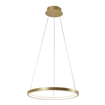 Leuchten Direkt 11522-12 - LED Luster na lancu CIRCLE LED/19W/230V