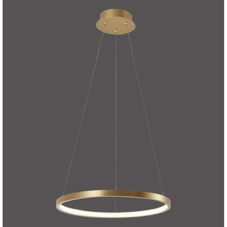 Leuchten Direkt 11522-12 - LED Luster na lancu CIRCLE LED/19W/230V