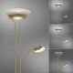 Leuchten Direkt 11730-60 - LED Prigušiva podna lampa ZAHARA LED/16W/230V + LED/5W