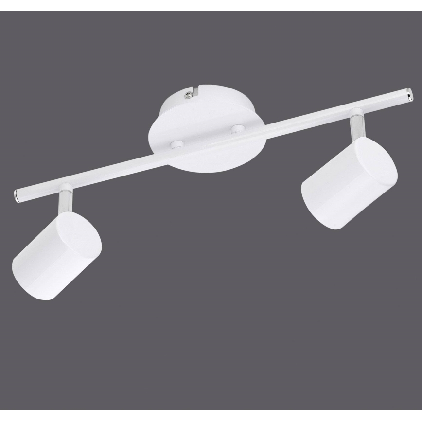 Leuchten Direkt 11942-16 - LED Reflektorska svjetiljka TARIK 2xGU10/5W/230V bijela