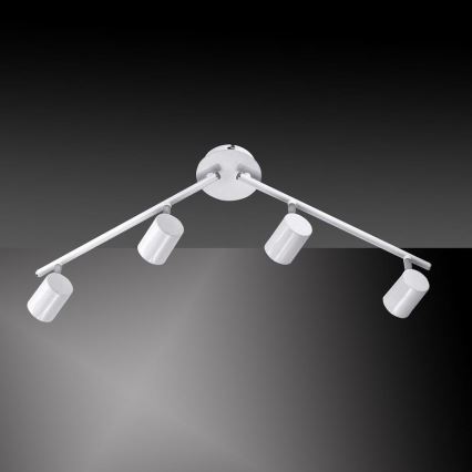 Leuchten Direkt 11944-16 - LED Reflektorska svjetiljka TARIK 4xGU10/5W/230V bijela