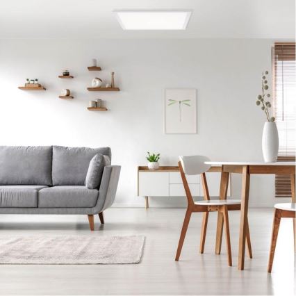 Leuchten Direkt 12201-16 - LED Stropna svjetiljka FLAT LED/22W/230V