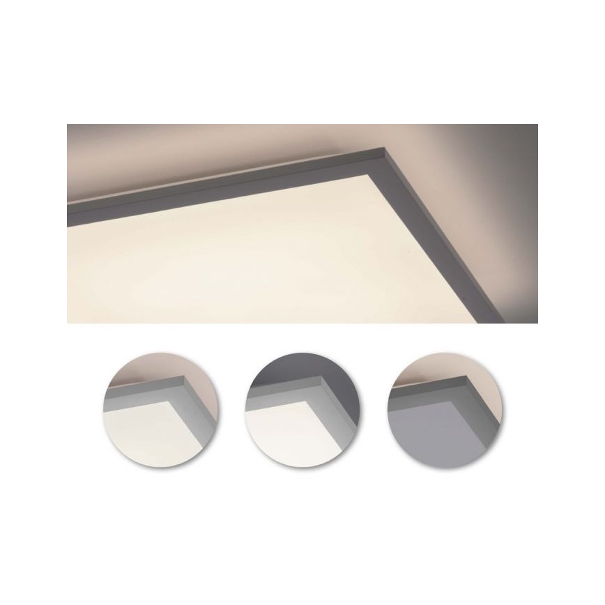 Leuchten Direkt 12204-16 - LED Panel za površinsku ugradnju FLAT LED/24W/230V