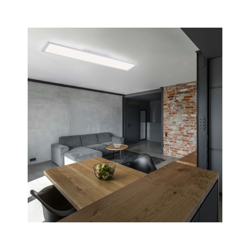Leuchten Direkt 12204-16 - LED Panel za površinsku ugradnju FLAT LED/24W/230V