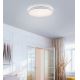 Leuchten Direkt 14208-16 - LED Prigušiva stropna svjetiljka COLIN LED/18W/230V