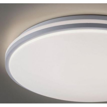 Leuchten Direkt 14208-16 - LED Prigušiva stropna svjetiljka COLIN LED/18W/230V