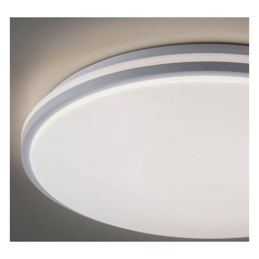 Leuchten Direkt 14208-16 - LED Prigušiva stropna svjetiljka COLIN LED/18W/230V